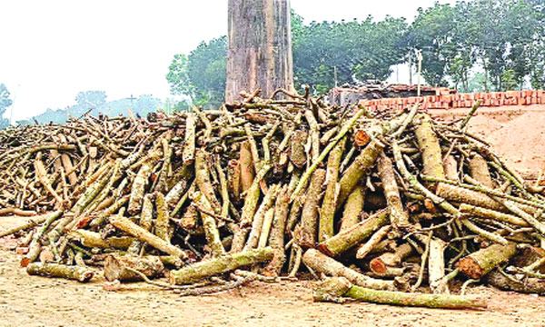 ভালুকায় স্কুলের পাশে ও আবাসিক এলাকায় অবৈধ ইটভাটা