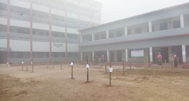 কুয়াশাচ্ছন্ন ঠাকুরগাঁওয়ে ভোটার উপস্থিতি কম