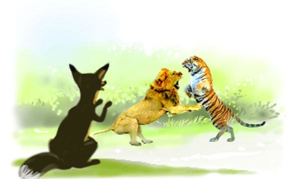 জয় মামার জয়