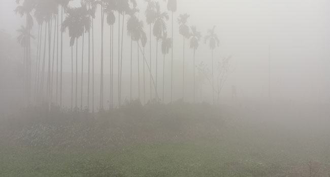 নীলফামারীতে কনকনে ঠান্ডায় জনজীবন কাহিল