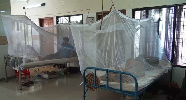 ডেঙ্গুতে আরো ১ জনের মৃত্যু, আক্রান্ত ২৫