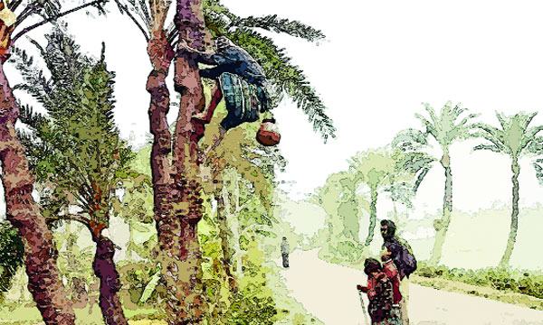 খেজুর রসের স্মৃতি