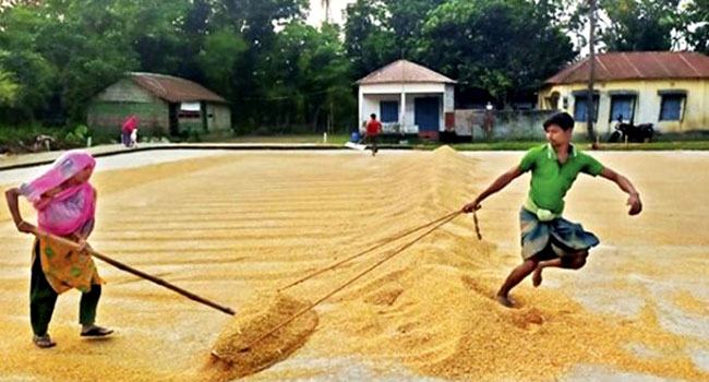 মোকামে ৪-৫ টাকা বৃদ্ধির কারণেই চালের অস্বাভাবিক মূল্য