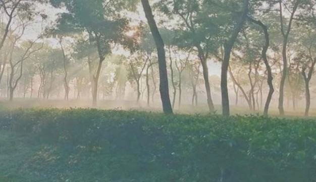 সর্বনিম্ন তাপমাত্রা শ্রীমঙ্গলে