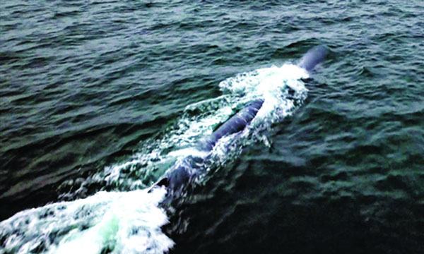 ডুবো পারমাণবিক ড্রোনের পরীক্ষা উত্তর কোরিয়ার