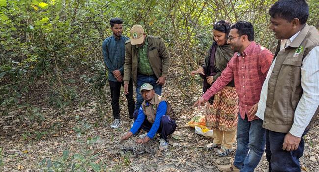 তালতলীতে মেছো বাঘের বাচ্চা উদ্ধারের পর অবমুক্ত