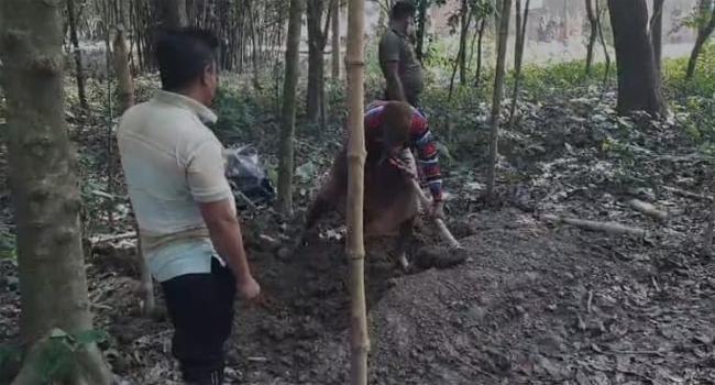 চৌগাছায় ৪ মাস পর কবর থেকে হায়দার আলীর লাশ উত্তোলন