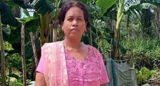 আঙ্গিনায় ঢুকে পড়ল পিকআপ, নিহত নারী