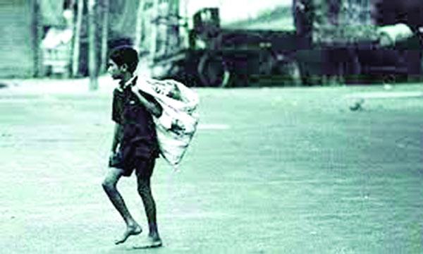 টোকাই