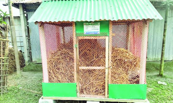 কিশোরগঞ্জে আলোর মুখ দেখেনি স্কাভেনজিং পোলট্রি শেড প্রকল্প