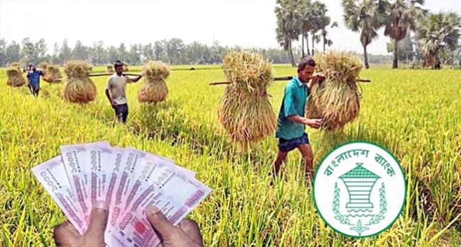 কৃষিঋণ বিতরণে ভাটা : এক মাসে কমেছে ২৭৩ কোটি টাকা