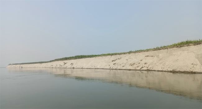 অসময়ে সুন্দরগঞ্জে তিস্তা নদী ভাঙন, শস্যক্ষেত বিলীন