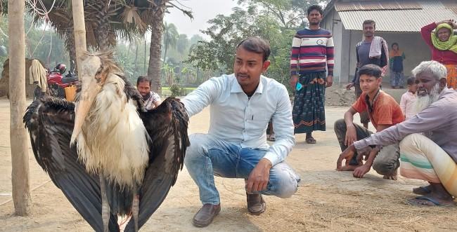 সিংড়ায় বিরল প্রজাতির মদনটাক পাখি উদ্ধার