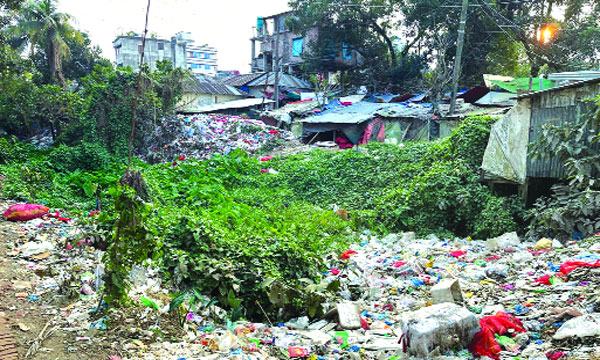 দুমকিতে পিরতলা খালটি এখন ময়লার ভাগাড়