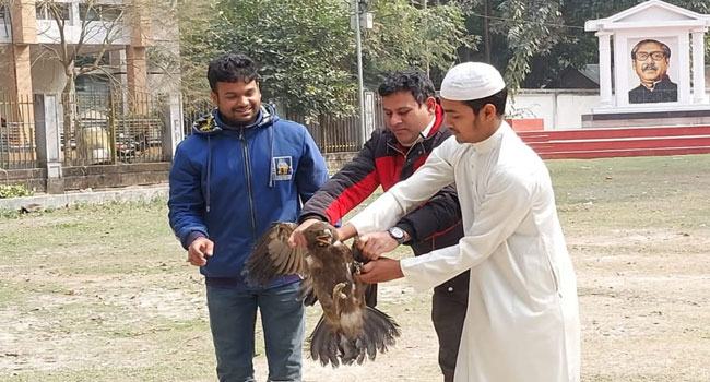 নীলফামারীতে অবমুক্ত করা হলো বিলুপ্ত প্রায় চিলপাখি