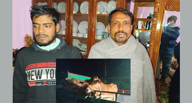 ঘোড়াঘাটে চুরি হওয়া মোবাইল উদ্ধারে গিয়ে মিলল ৩ চোরাই গরু, গ্রেফতার ২
