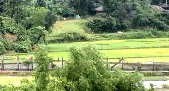 সীমান্তের ওপারে সংঘাত : নাইক্ষ্যংছড়ির ২৪০ পরিবারকে সরিয়ে নেয়ার নির্দেশ