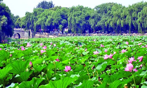 বেইহাই পার্কের কথা