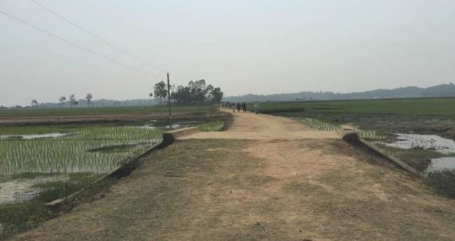 রোহিঙ্গা সন্ত্রাসীদের ছোড়া হাতবোমায় ৪ বাংলাদেশী আহত