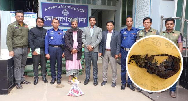 মিরসরাইয়ে ৫টি তক্ষকসহ পাচারকারী গ্রেফতার
