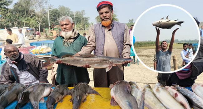 বগুড়ায় ঐতিহ্যবাহী মেলায় জামাই-শ্বশুরের মাছ কেনার প্রতিযোগিতা