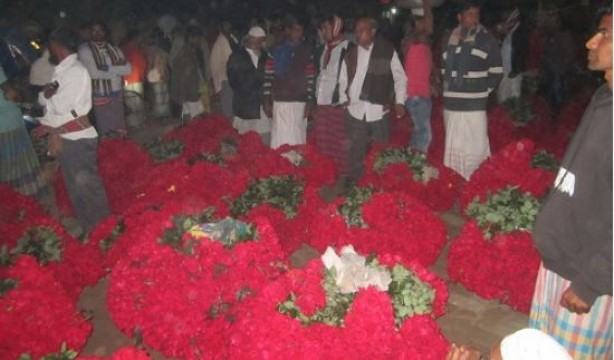 সাভারে জমজমাট গোলাপ ফুলের মোইস্তাপাড়া হাট