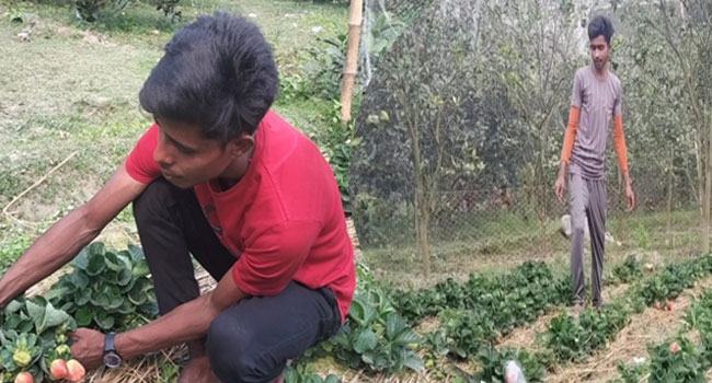 ধুনটে কৃষি খাতে ২ ভাইয়ের সাফল্য