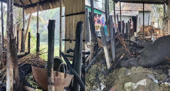 সাটুরিয়ায় গরিবের স্বপ্ন আগুনে পুড়ে ছাই
