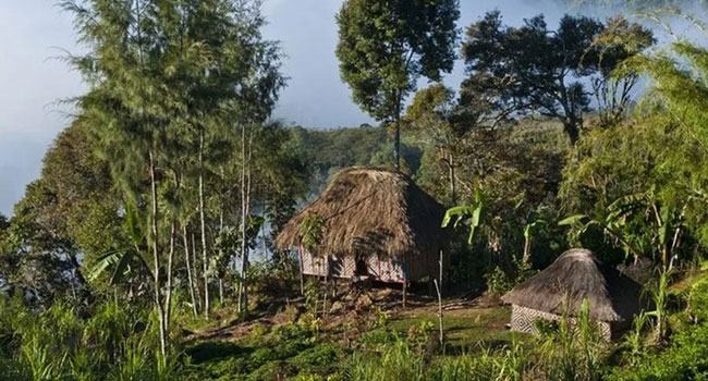 পাপুয়া নিউগিনিতে উপজাতিদের সহিংসতায় ৫৩ জন নিহত