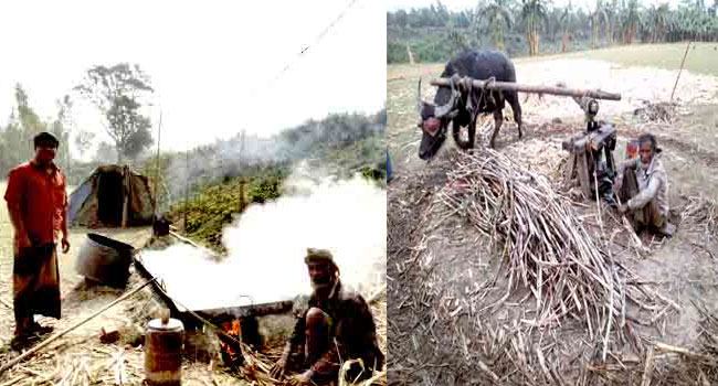 বিলুপ্তির পথে আখের গুড়