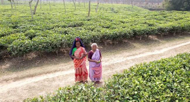 মাত্র ২ জন যে ভাষায় কথা বলেন