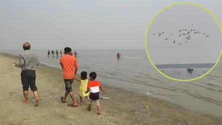 পর্যটকদের নতুন আকর্ষণ রাঙ্গাবালীর চর হেয়ার দ্বীপ