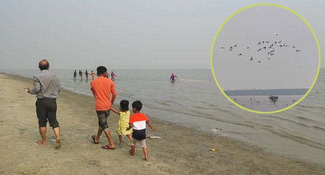 পর্যটকদের নতুন আকর্ষণ রাঙ্গাবালীর চর হেয়ার দ্বীপ