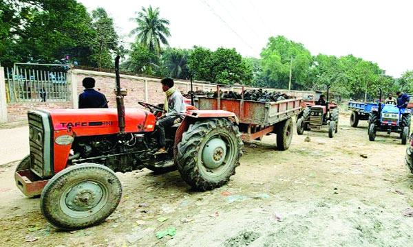 কালীগঞ্জে প্রশাসনের অভিযানেও থামছে না ফসলি জমির মাটিকাটা
