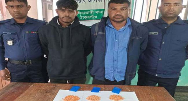 বালিয়াডাঙ্গীতে ৬০০ পিস ইয়াবাসহ গ্রেফতার ২