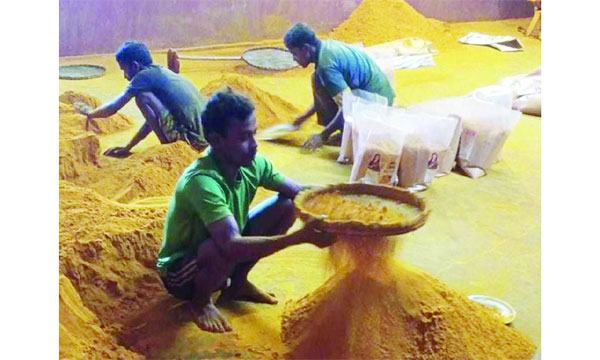 সাদুল্লাপুরে ভেজাল হলুদ ও গুঁড়া মরিচের রমরমা ব্যবসা