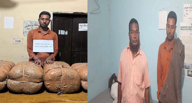 পোরশায় ২ মাদককারবারি গ্রেফতার
