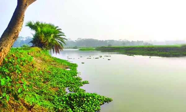 রাঙ্গাবালীতে খাস খালে লবণপানি উঠিয়ে মাছ চাষ : হুমকিতে ফসলি জমি