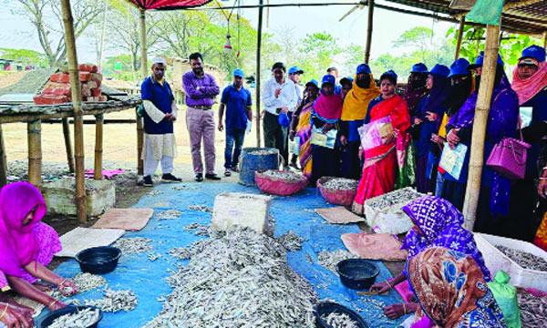 অভিজ্ঞতা বিনিময়ে জুড়ীর মৎস্যচাষিরা বিশ্বনাথে