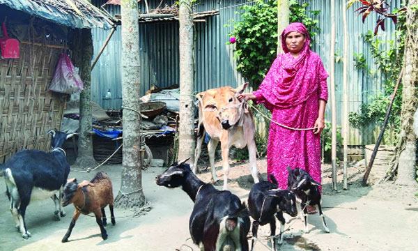 ঘুরে দাঁড়ানোর স্বপ্ন দেখছেন পঞ্চগড়ের হতদরিদ্র নারীরা