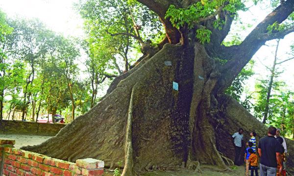 ছবি শুধু ছবি নয়
