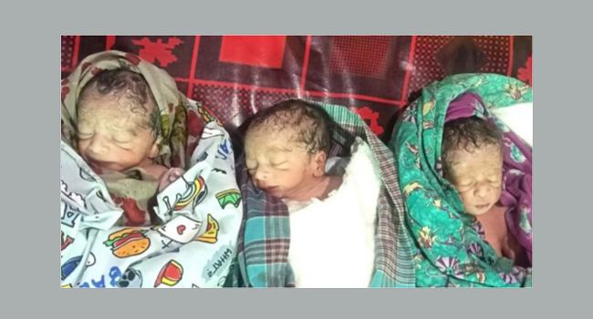 উল্লাপাড়ায় একসাথে ৩ সন্তানের মা হলেন জেমি খাতুন