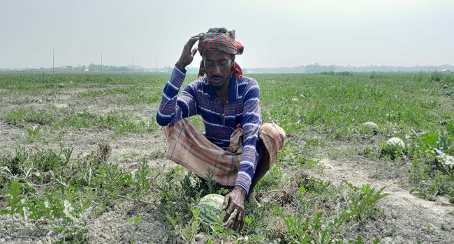 যে কারণে চাষির স্বপ্ন মারা যাচ্ছে...