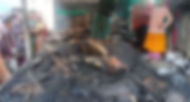 রায়গঞ্জে আগুনে পুড়ল ৭টি গরু-ছাগল