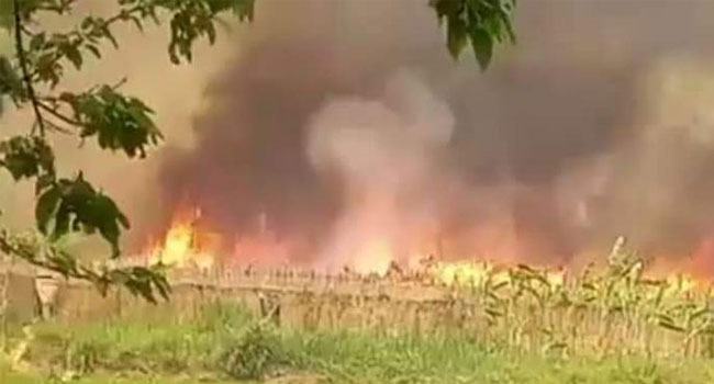 ভেড়ামারায় ৪ কিমিজুড়ে পানের বরজে আগুন, শত কোটি টাকার ক্ষতির শঙ্কা