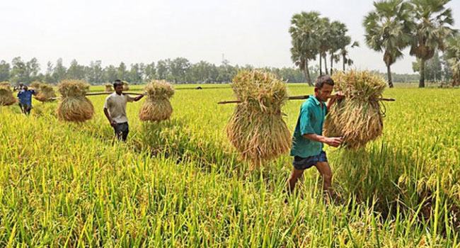পুঁজিবাদের দুষ্টচক্র : গ্রামীণ সভ্যতায় অবক্ষয়