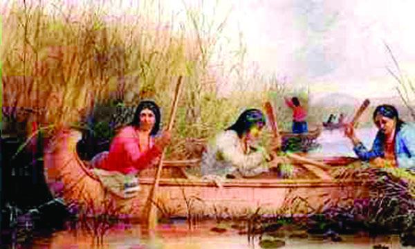 ওয়াশু মানুষ