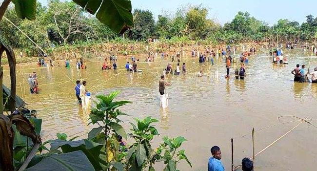 সখীপুরে মাছ শিকার উৎসব উদযাপন