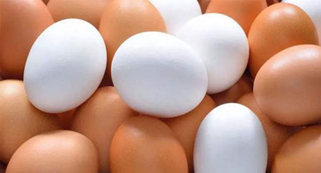 সাদা না বাদামি : কোন রঙের ডিম বেশি পুষ্টিকর?