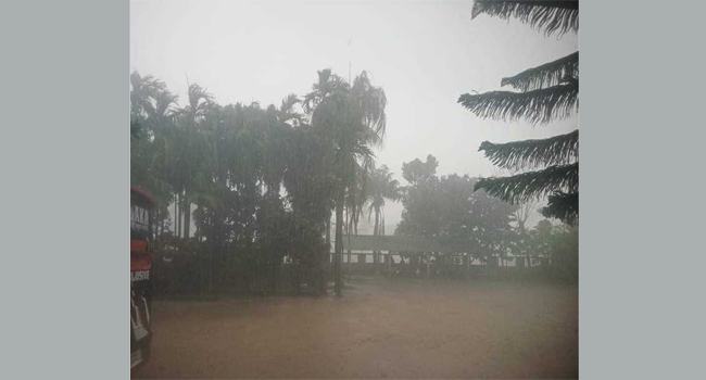 পীরগাছায় হঠাৎ শিলাবৃষ্টি